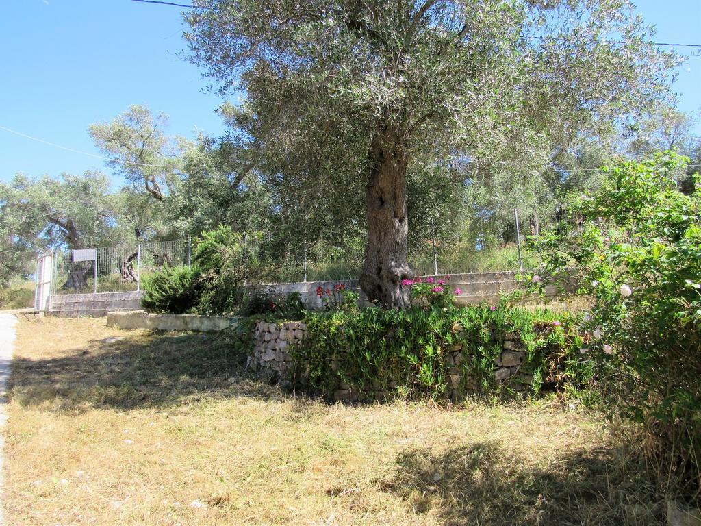 Villa Clementine Gáiosz Kültér fotó